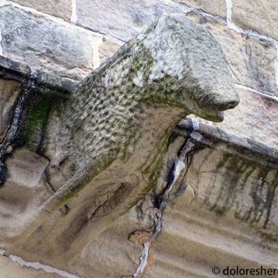 animales en gárgolas