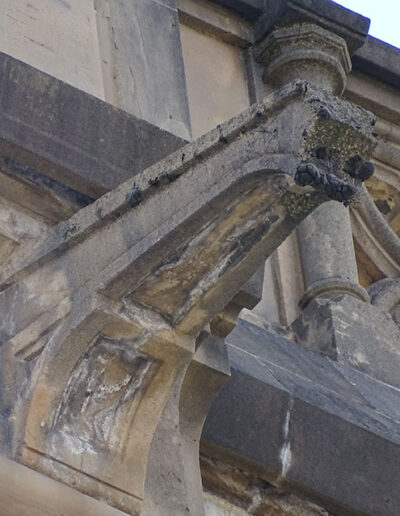 Gárgola geométrica de la Catedral de María Inmaculada (Vitoria).