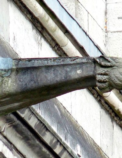 Gárgola de la Catedral de Cork (Irlanda). Es un animal real: un cordero.