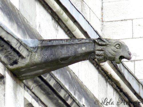 Gárgola Catedral Cork (Irlanda) 147
