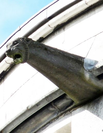 Gárgola de la Catedral de Cork (Irlanda). Es un animal real: un león.