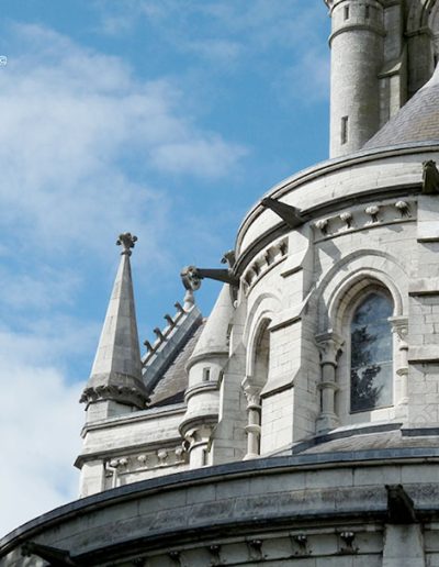 Gárgolas de la Catedral de Cork (Irlanda).