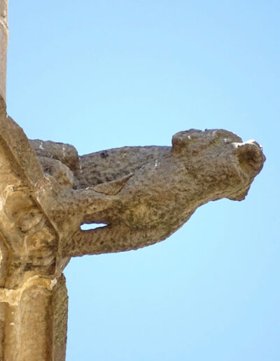 Gárgola de la Iglesia de Santa María la Mayor de Valderrobres (Teruel). Es un animal real: un perro.