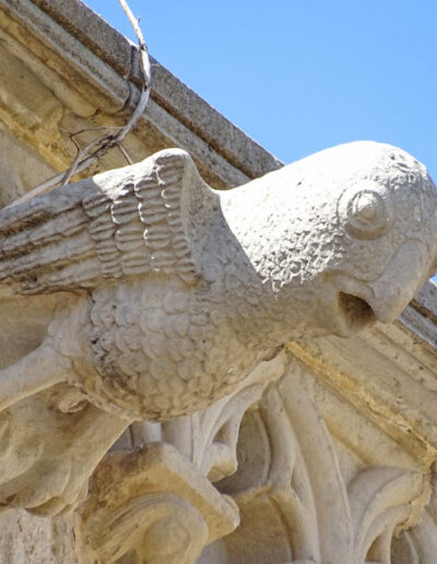 Gárgola de la Iglesia de Santa María la Mayor de Valderrobres (Teruel). Es un animal real: un águila que agarra un pequeño murciélago.