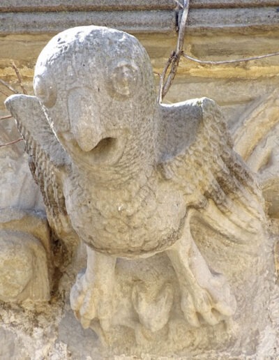 Gárgola de la Iglesia de Santa María la Mayor de Valderrobres (Teruel). Es un animal real: un águila que agarra un pequeño murciélago.