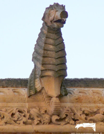 Gárgola de animal real, un caballito de mar. Catedral Nueva de Salamanca.