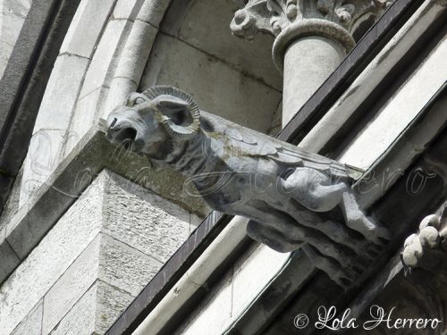 Gárgola Catedral Cork (Irlanda) 151