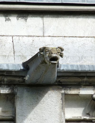 Gárgola de la Catedral de Cork (Irlanda). Es un animal real: un bóvido.