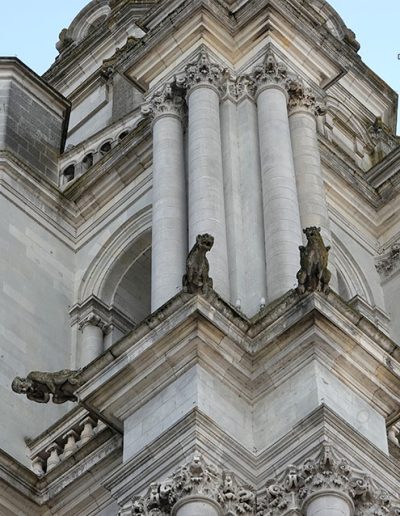 Gárgolas de la Catedral de Blois (Francia).