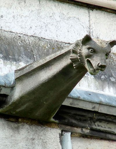 Gárgola de la Catedral de Cork (Irlanda). Es un animal real: un perro.