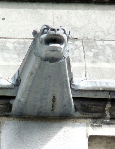 Gárgola de la Catedral de Cork (Irlanda). Es un animal real: un león.