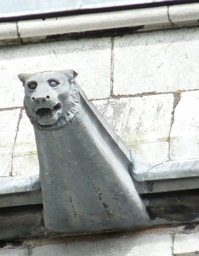 Gárgola de la Catedral de Cork (Irlanda). Es un animal real: un león.