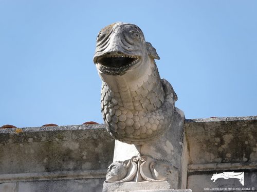 Gárgola del Monasterio de Alcobaça (Portugal). Es un animal real: un pez.