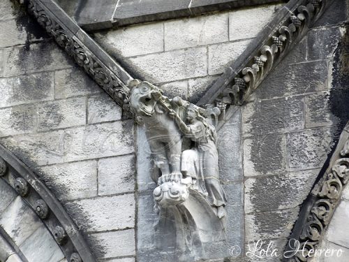 Gárgola Catedral Cork (Irlanda) 158