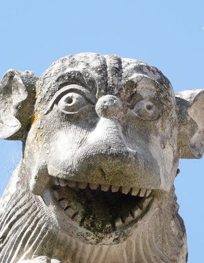 Gargoyle from the Monastery of Alcobaça (Portugal). A real animal: a lion.