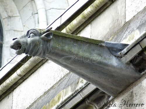 Gárgola Catedral Cork (Irlanda) 160