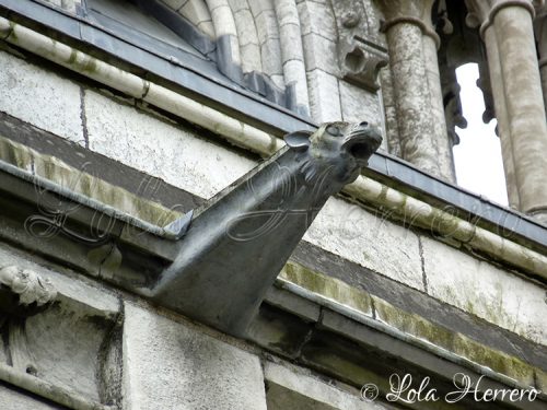 Gárgola Catedral Cork (Irlanda) 161