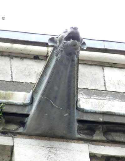 Gárgola de la Catedral de Cork (Irlanda). Es un animal real: un perro.