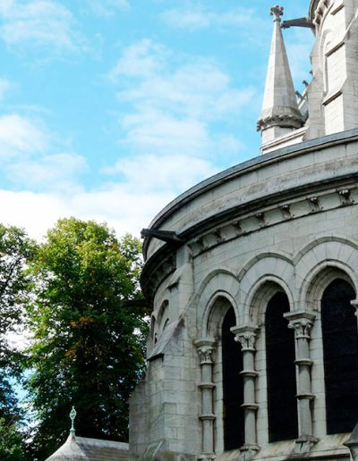 Gárgolas de la Catedral de Cork (Irlanda).