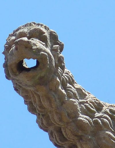 Gárgola de la Iglesia de Saint-Martin de Limoux (Francia). Es un animal real: un león.