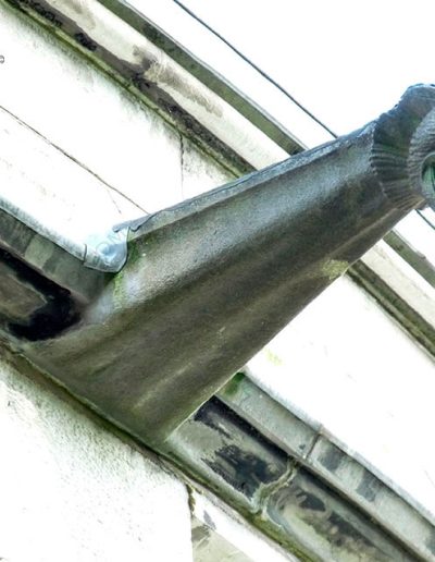 Gárgola de la Catedral de Cork (Irlanda). Es un animal real: un perro.