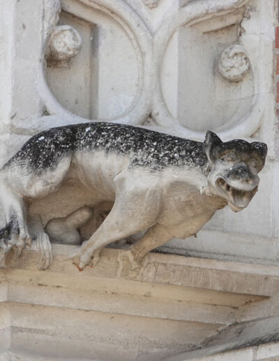 Gárgola del Château Royal de Blois (Francia). Es un animal real: un perro.