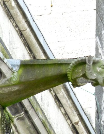 Gárgola de la Catedral de Cork (Irlanda). Es un animal real: un carnero.