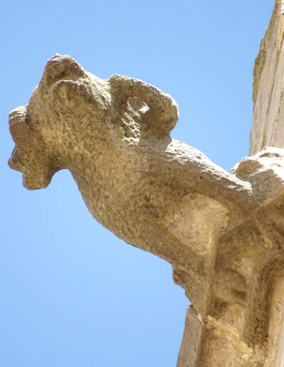 Gárgola de la Iglesia de Santa María la Mayor de Valderrobres (Teruel). Es un animal real: un carnero.