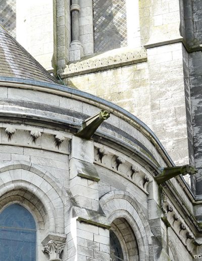 Gárgolas de la Catedral de Cork (Irlanda).