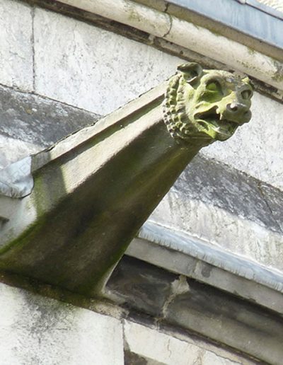 Gárgola de la Catedral de Cork (Irlanda). Es un animal real: un león.