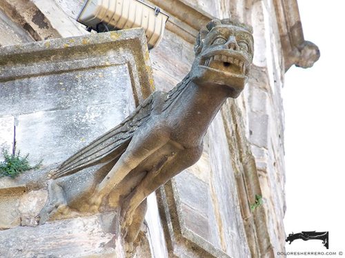 Gárgola de la Iglesia de Saint-Martin de Limoux (Francia). Es un antropomorfo.