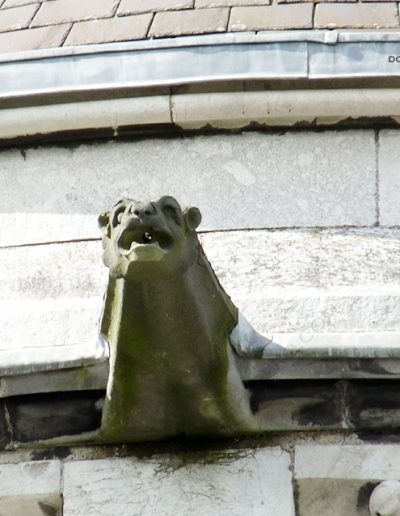 Gárgola de la Catedral de Cork (Irlanda). Es un animal real: un león.