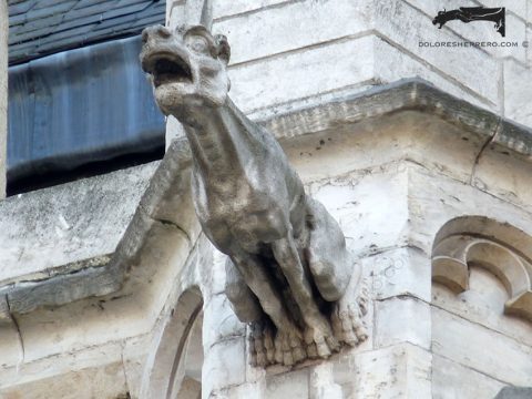 Types of Gargoyles