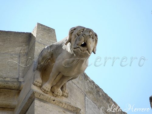 Gárgola Catedral Narbonne (Francia) 138