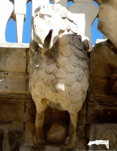 Gárgola de la Catedral de Astorga. Es un animal real: un ave.