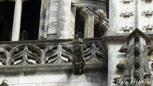 Catedral Bayonne (Francia) (288)