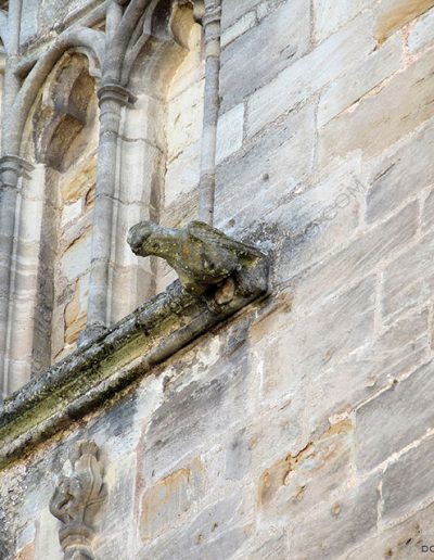 Grotesque from Cahors Cathedral (France). It is a bird.