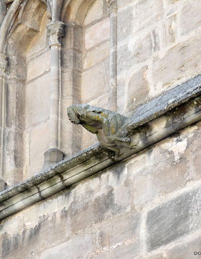 Grotesco de la Catedral de Cahors (Francia). Es una figura humana.