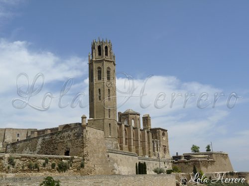 Catedral Lleida (295)