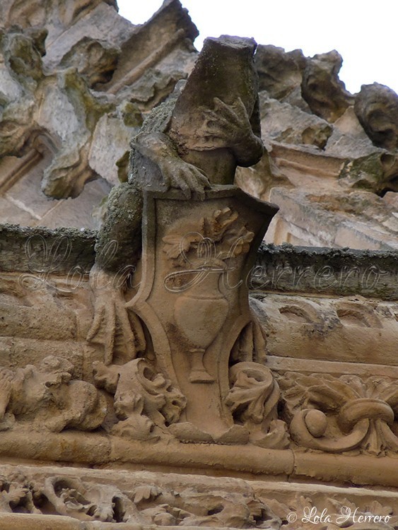 Gárgola Catedral Salamanca (268)