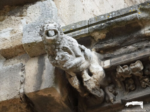 Gárgola de la Catedral de Béziers (Francia). Es un león con crías: dos de ellas están mamando.