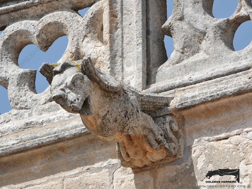Gárgolas de la Iglesia de Nuestra Señora de la Asunción de Aroche (Huelva) 7 Gárgola de la Catedral de Burgos. Es un animal real: un águila.