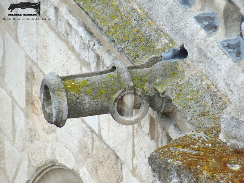 Gárgolas de la Iglesia de Nuestra Señora de la Asunción de Aroche (Huelva) 26 Gárgola de la Catedral de Burgos. Es un cañón.
