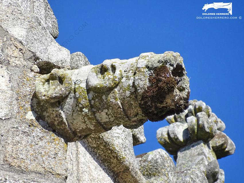Gárgolas de la Iglesia de Nuestra Señora de la Asunción de Aroche (Huelva) 27 Gárgola de la Catedral de Guarda (Portugal). Es un cañón.