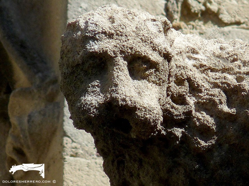 The Lion and its Portrayal in Gargoyles