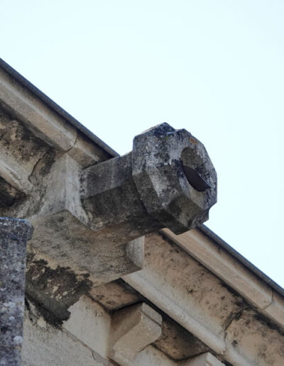 Gárgola geométrica con forma de tuerca. Catedral de Notre-Dame des Doms en Avignon (Francia).
