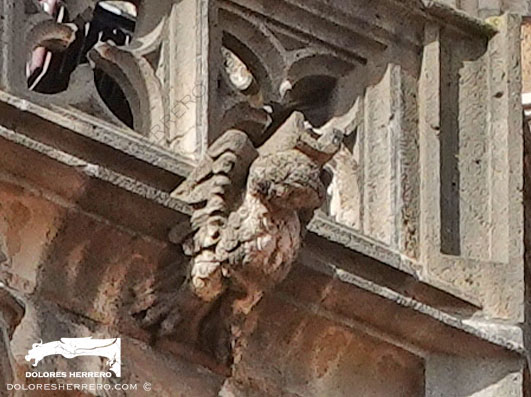Gárgolas de la Iglesia de Nuestra Señora de la Asunción de Aroche (Huelva) 8 Gárgola de la Catedral de Oviedo. Es un animal real: un águila.