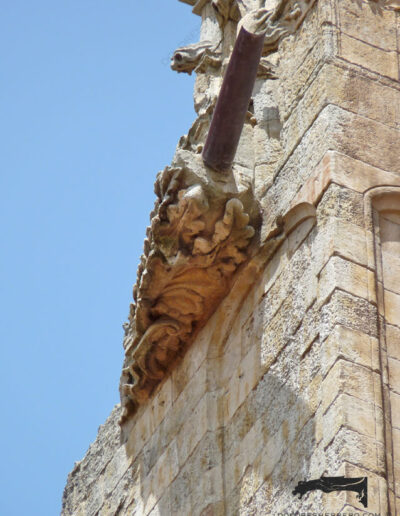 Gárgola de monstruo vegetal, con hojas carnosas que le dan plasticidad, de la Catedral Nueva de Salamanca.