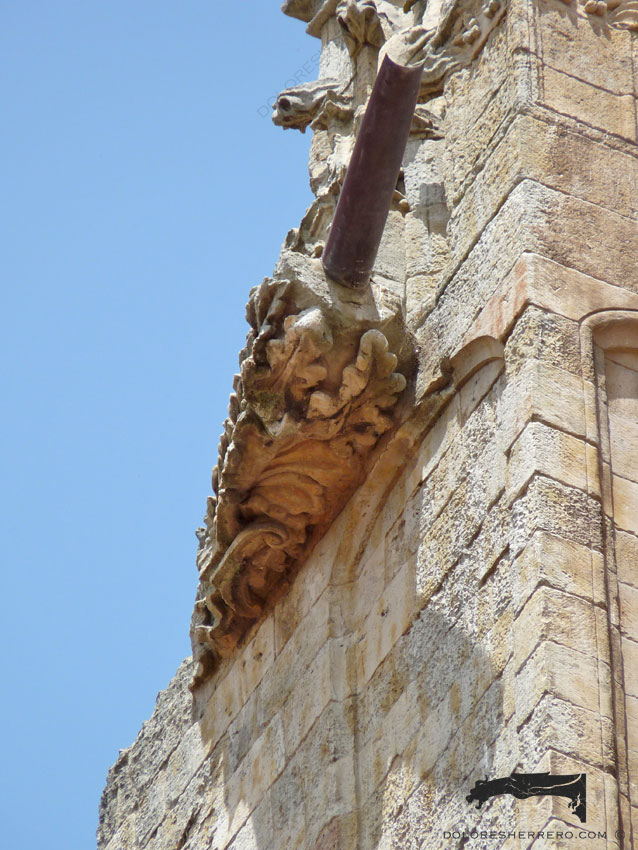 gárgolas de la catedral de Salamanca