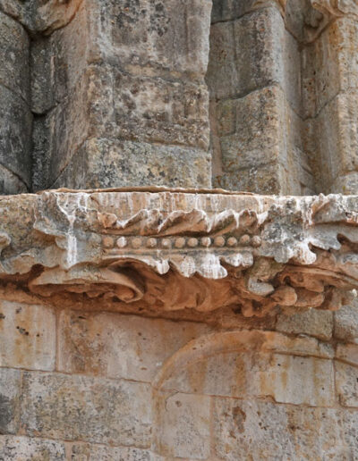 Gárgola de monstruo vegetal, con hojas y elementos decorativos, de la Catedral Nueva de Salamanca.